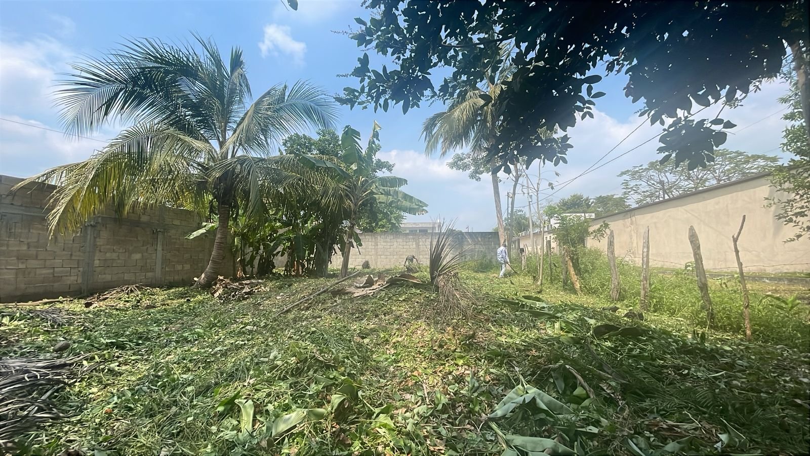 Vista del terreno 1